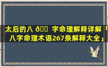 太后的八 🐠 字命理解释详解「八字命理术语267条解释大全」